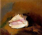 Seashell